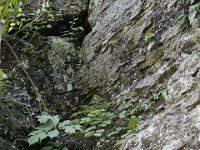 Poconos-July-2015-27740