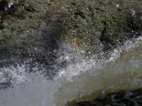 Poconos-July-2015-27776