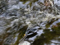 Poconos-July-2015-27796