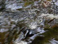 Poconos-July-2015-27797