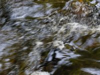 Poconos-July-2015-27798
