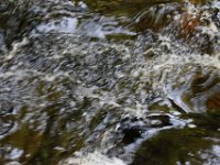 Poconos-July-2015-27800