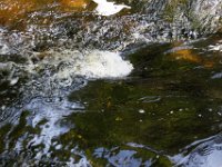 Poconos-July-2015-27804