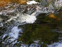 Poconos-July-2015-27806