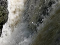 Poconos-July-2015-27818