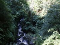 Poconos-July-2015-27830
