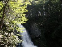 Poconos-July-2015-27850