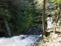 Poconos-July-2015-27878