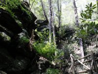 Poconos-July-2015-27921