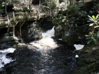 Poconos-July-2015-27925