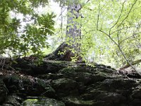 Poconos-July-2015-27948