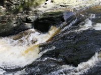 Poconos-July-2015-27960