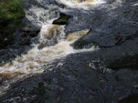 Poconos-July-2015-27963