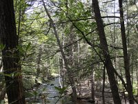 Poconos-July-2015-27964