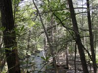 Poconos-July-2015-27968