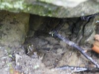 Poconos-July-2015-27984