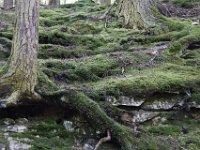 Poconos-July-2015-28010