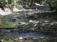 Poconos-July-2015-28100