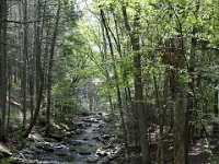 Poconos-July-2015-28103