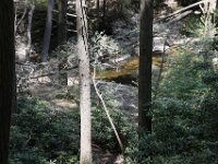 Poconos-July-2015-28111
