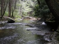 Poconos-July-2015-28171