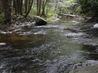Poconos-July-2015-28174