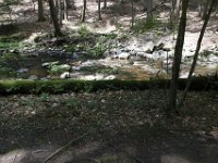 Poconos-July-2015-28179