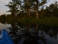 08-11-15-Alligator River-28966