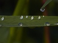 08-11-15-Alligator River-29026
