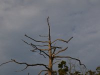 08-11-15-Alligator River-29074