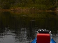 08-11-15-Alligator River-29140