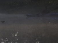 08-13-15-Alligator River-29375