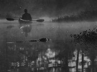 08-13-15-Alligator River-29490 1