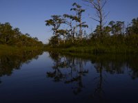 08-13-15-Alligator River-29634
