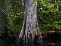 08-14-15-Crooked Creek-NC-29812