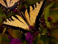 08-29-15-Piscataway-21206