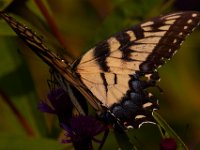 08-29-15-Piscataway-21209
