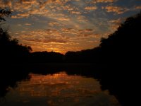 09-12-15-Tuckahoe-23067