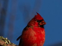 10-11-15-Piscataway-24352