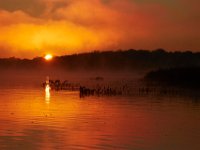 10-12-15-Mattawoman-25045