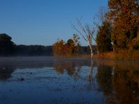 10-12-15-Mattawoman-25508