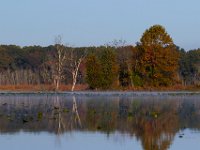 10-12-15-Mattawoman-25547