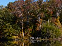 10-12-15-Mattawoman-25845