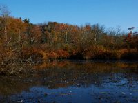 10-16-15-Mattaponi-26211