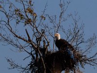 10-16-15-Mattaponi-26354