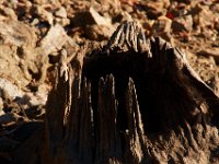 10-18-15-Rocky Gorge-26609