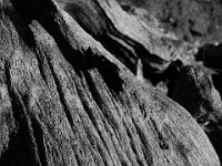 10-18-15-Rocky Gorge-26614