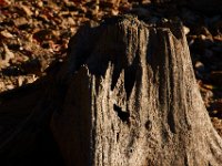 10-18-15-Rocky Gorge-26625