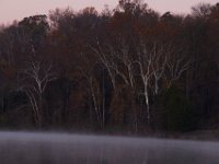 11-15-15-Nanjemoy-27782