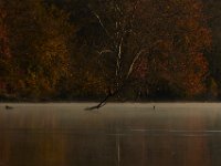 11-15-15-Nanjemoy-28043